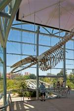 NATURAL HISTORY MUSEUM, Los Angeles