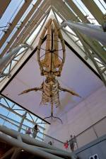 NATURAL HISTORY MUSEUM, Los Angeles